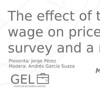 The effect of the minimum wage on prices: A new survey and a meta-analysis